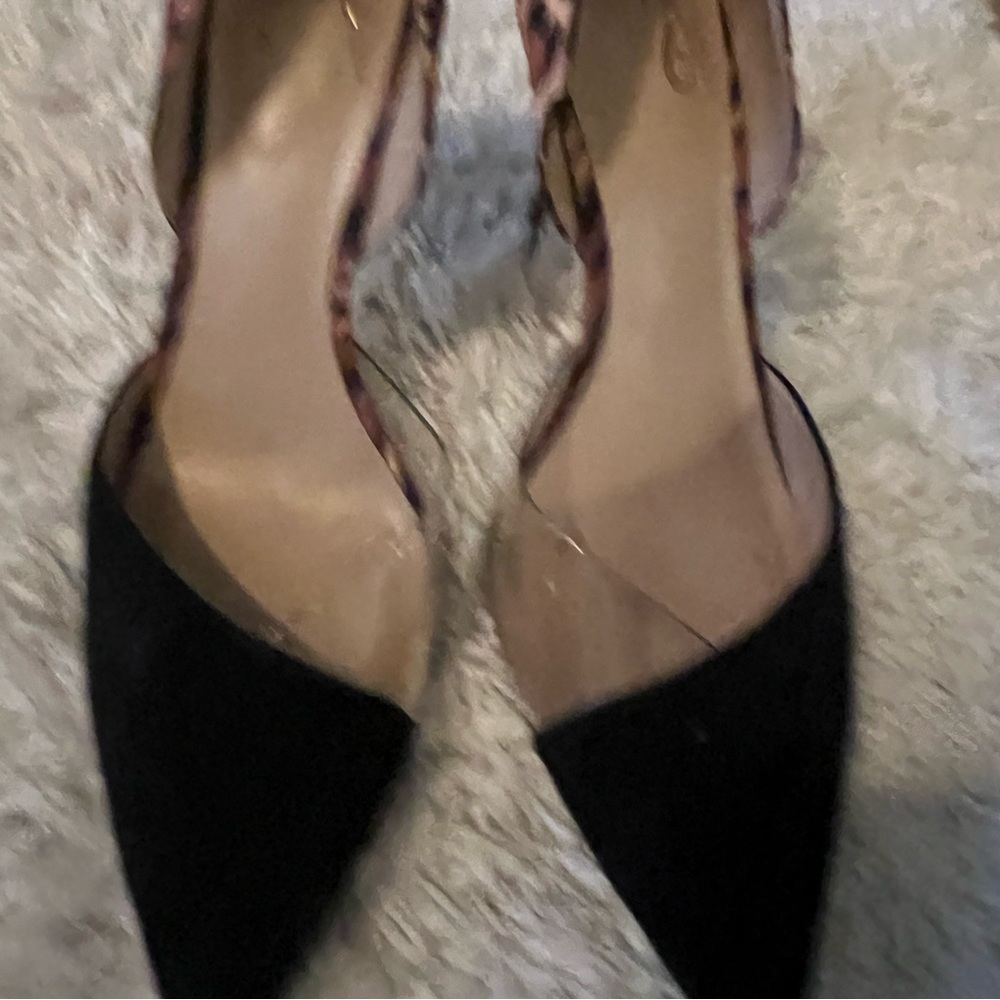 Leopard, clear and black pointed toe pumps